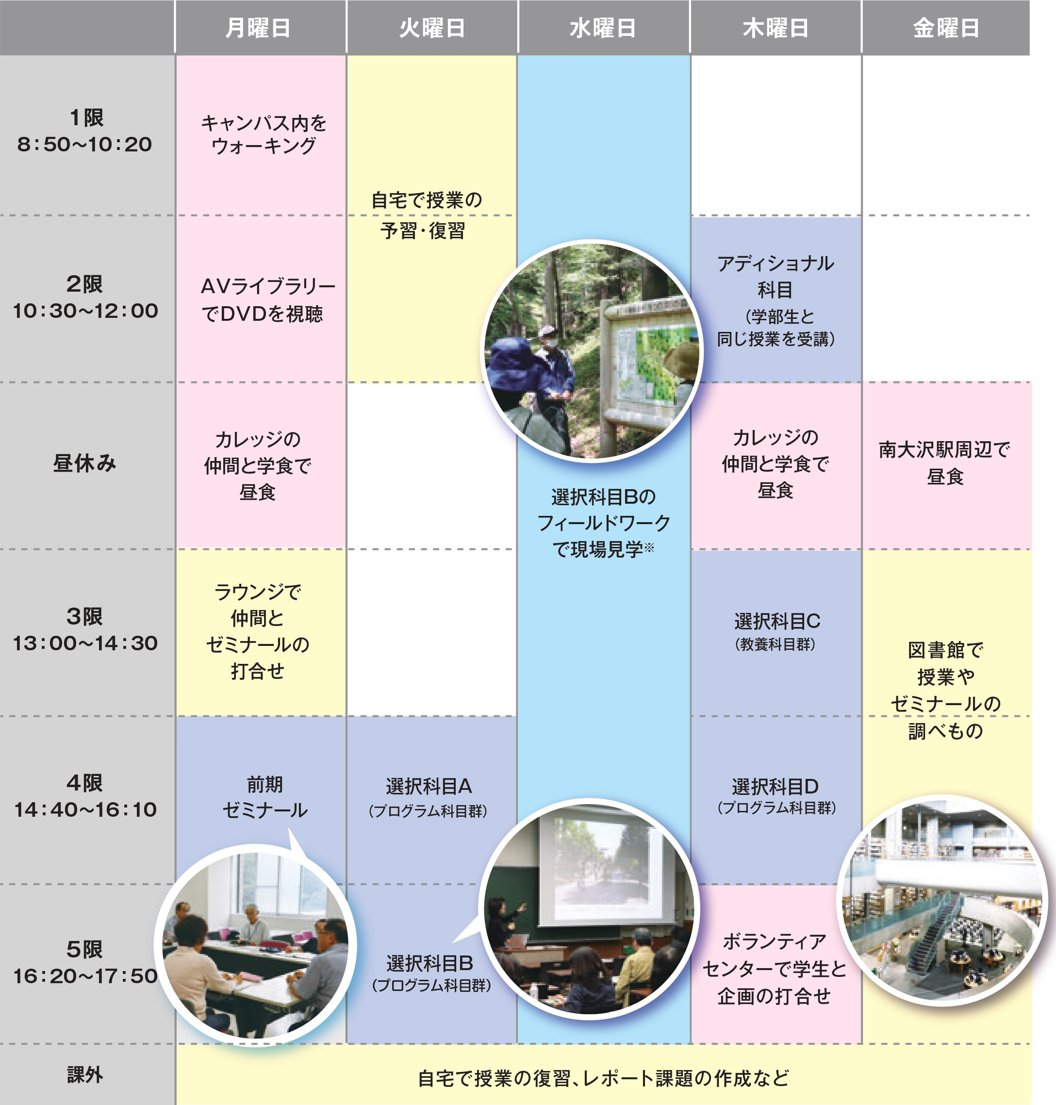 東京 工科 大学 時間割 東京工科大学の質問 Amp Petmd Com